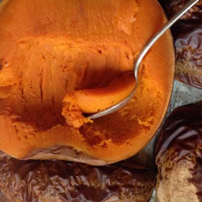 pumpkin-puree